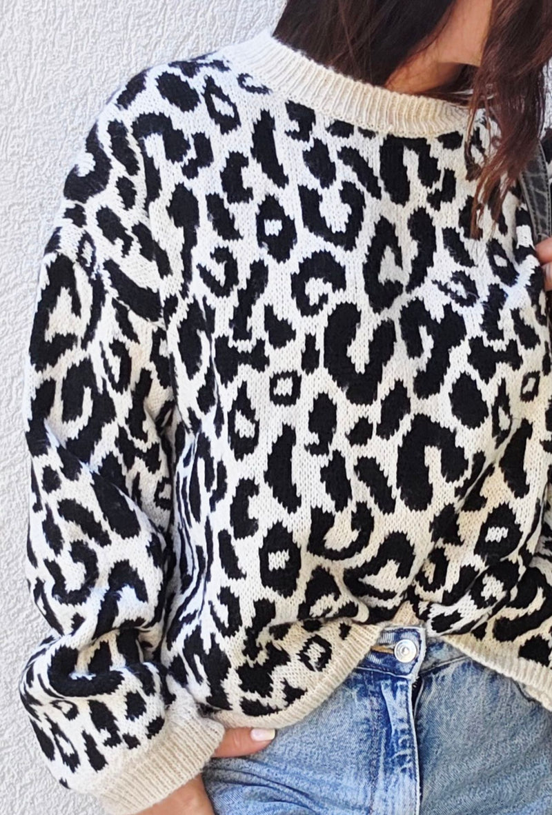 Pull leopard LULU noir 